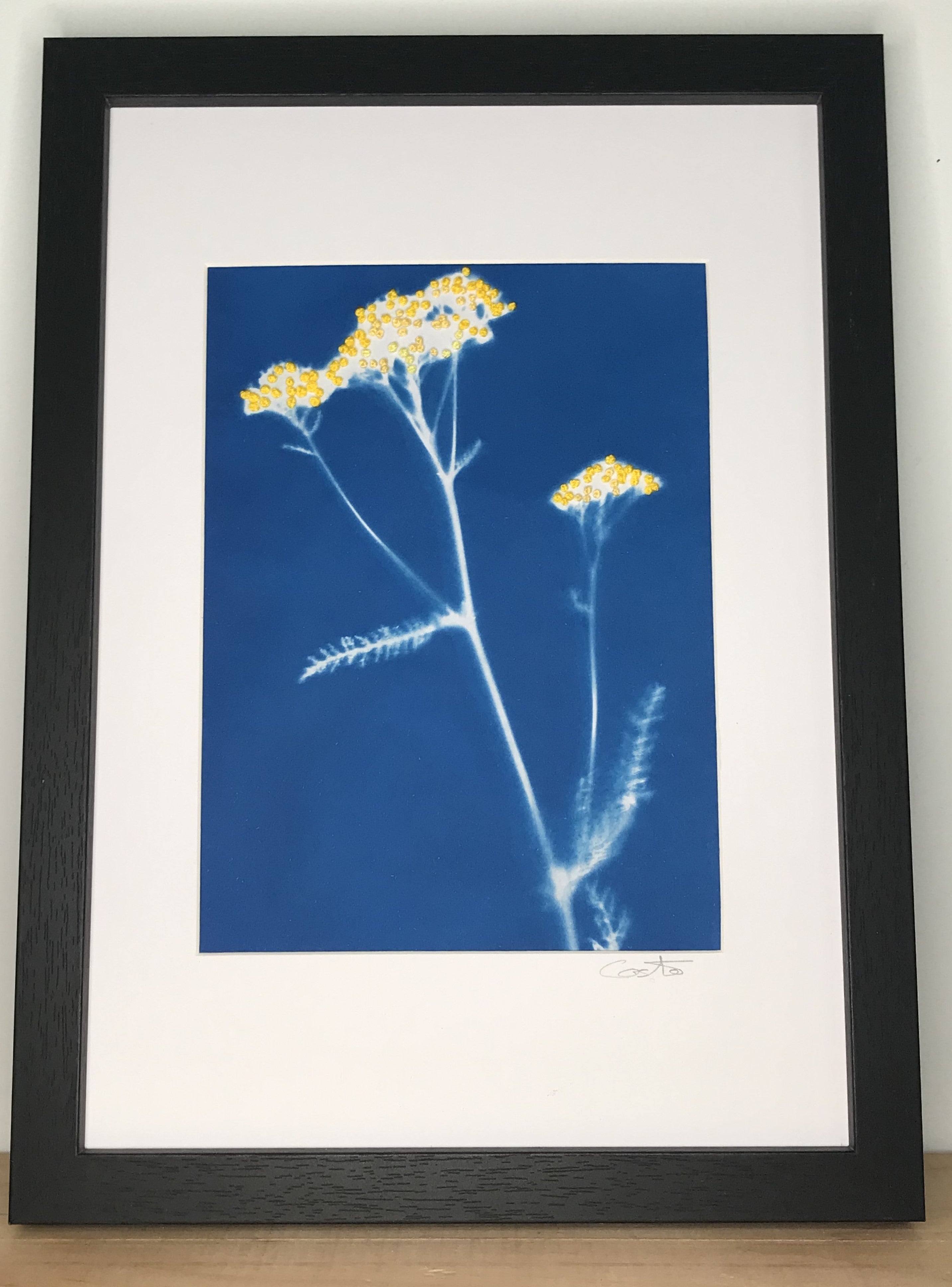 Cyanotype brodé - 