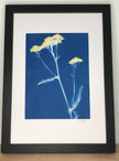 Cyanotype brodé - 
