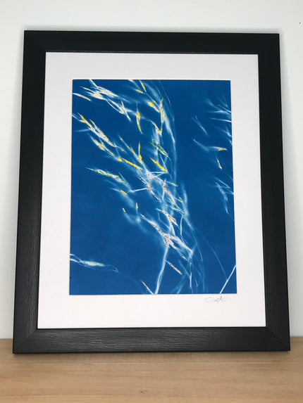 Cyanotype brodé - 