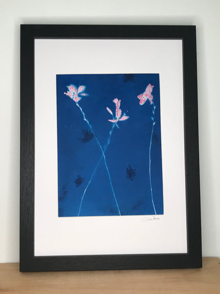 Cyanotype brodé - 