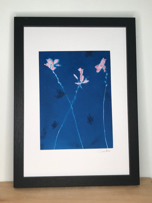Cyanotype brodé - 